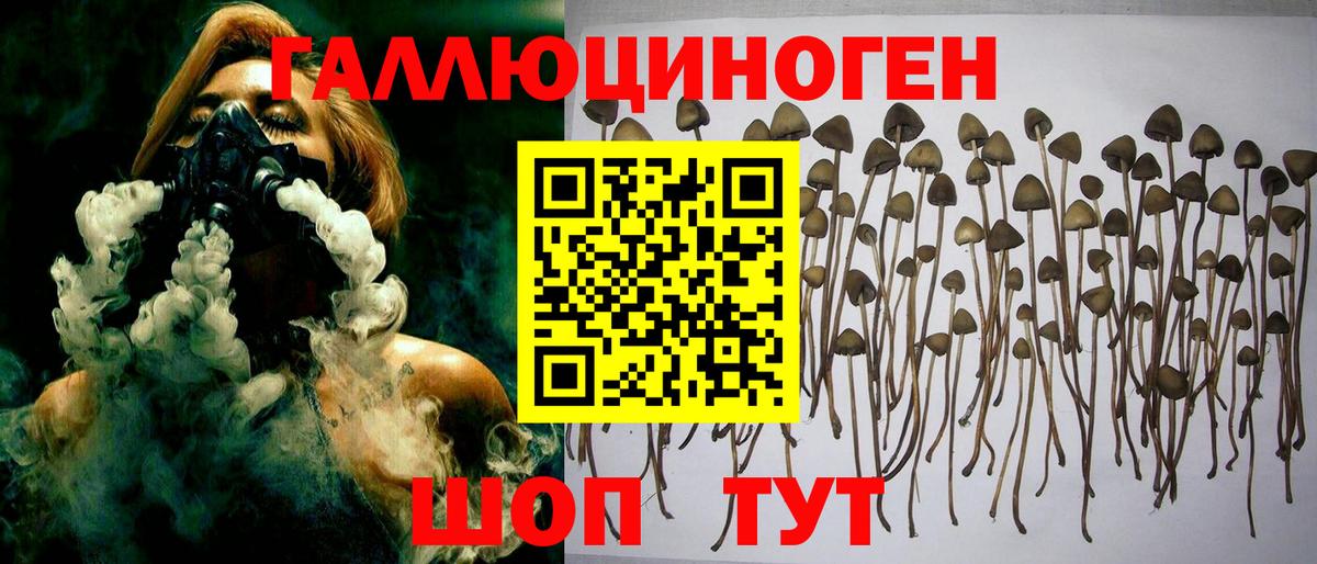 Галлюциногенные грибы Cubensis Ртищево